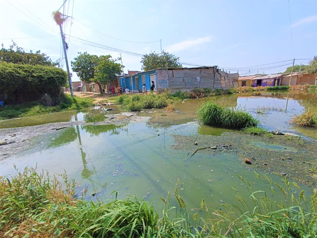 Los vecinos señalan que los niños y adultos tienen constantes diarreas y problemas a la piel, producto de convivir con las aguas putrefactas.