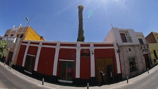 Sigue expectativa por tala de palmera histórica de Arequipa