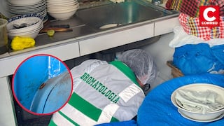 Huancayo: Detectan cucarachas y graves deficiencias sanitarias en puestos de comida del mercado Raez Patiño