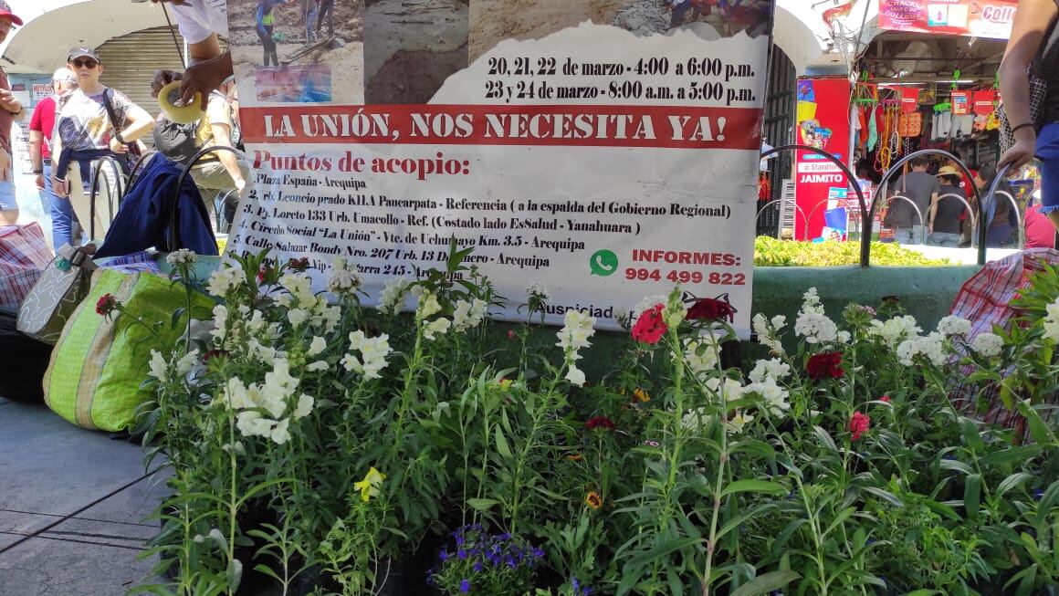 Una planta a cambio de donación para los pobladores de La Unión. Foto: GEC.