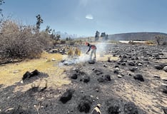 Arequipa registró 9 incendios forestales durante el fin de semana