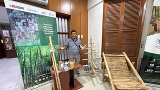 Piura: Serfor entrega registros de plantaciones forestales a productores de bambú