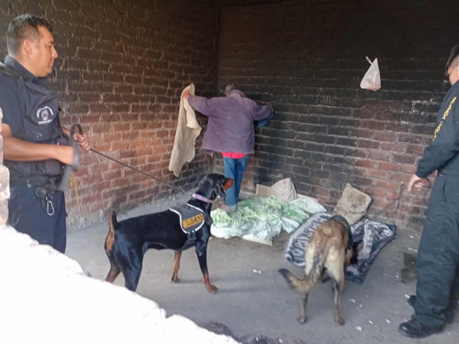 Agentes de Seguridad Ciudadana con apoyo de perros de la Brigada Canina desarrollaron acciones del programa municipal “Despertar Sin Drogas”.