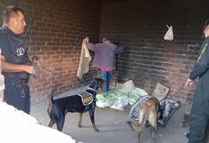 Retiran a más de un centenar de presuntos consumidores de sustancias tóxicas de diferentes zonas de Trujillo