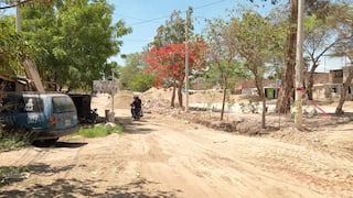 Piura: Vecinos del A.H Ignacio Merino exigen celeridad en obra de pistas y veredas