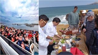 Pisco: miles de turistas llegan a la Reserva Nacional de Paracas por Fiestas Patrias