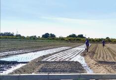 Arequipa: No termina proceso de titulación de predios para agricultores