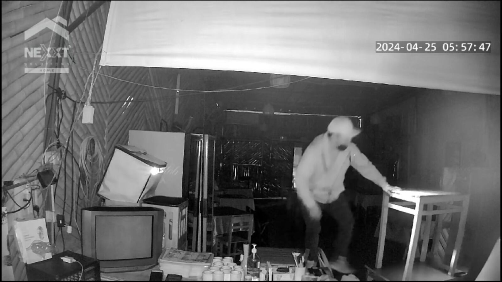 Delincuente que fue grabado por las cámaras, cometió robo en restaurante Sabor Norteño y se llevó televisor, dinero en efectivo, balón de gas y hasta un bidón de aceite en la Urb. El Trébol.