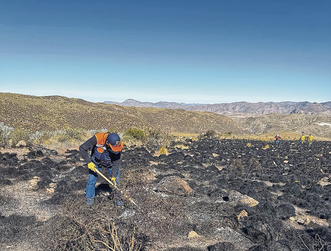 Indeci hará las capacitaciones para atender incendios forestales en Arequipa. Foto: Gobierno Regional de Arequipa.