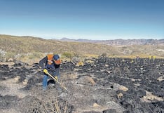 Arequipa: Proponen formar bomberos especializados para atender incendios forestales