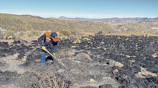 Arequipa: Proponen formar bomberos especializados para atender incendios forestales