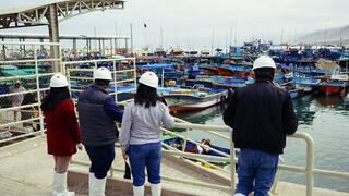 Denuncian contrataciones irregulares de personal en el Produce Tacna