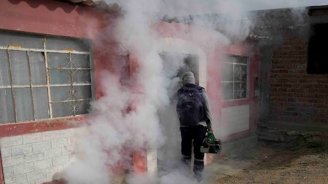 Fumigan viviendas en el distrito de Cocachacra de Arequipa para el control del dengue