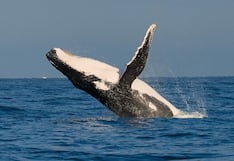 Distrito Los Órganos en el Top 100 Green Destinations 2024