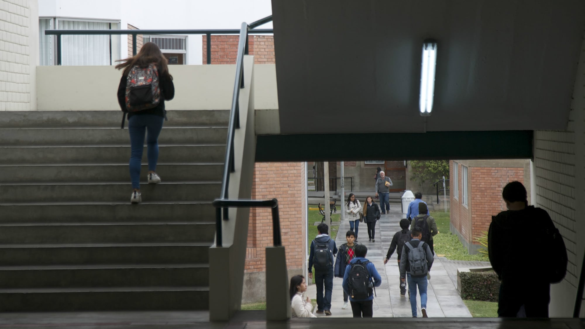 Proyecto de ley contempla un periodo de cinco años y encarga al Minedu diseñar estrategias para mejorar la oferta de educación superior. (Foto: Referencial)