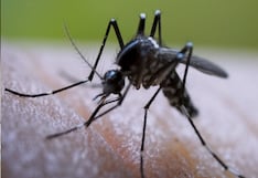 Casos de dengue en La Libertad aumentan más de 1.400 % y Virú concentra la mayor cantidad de contagios