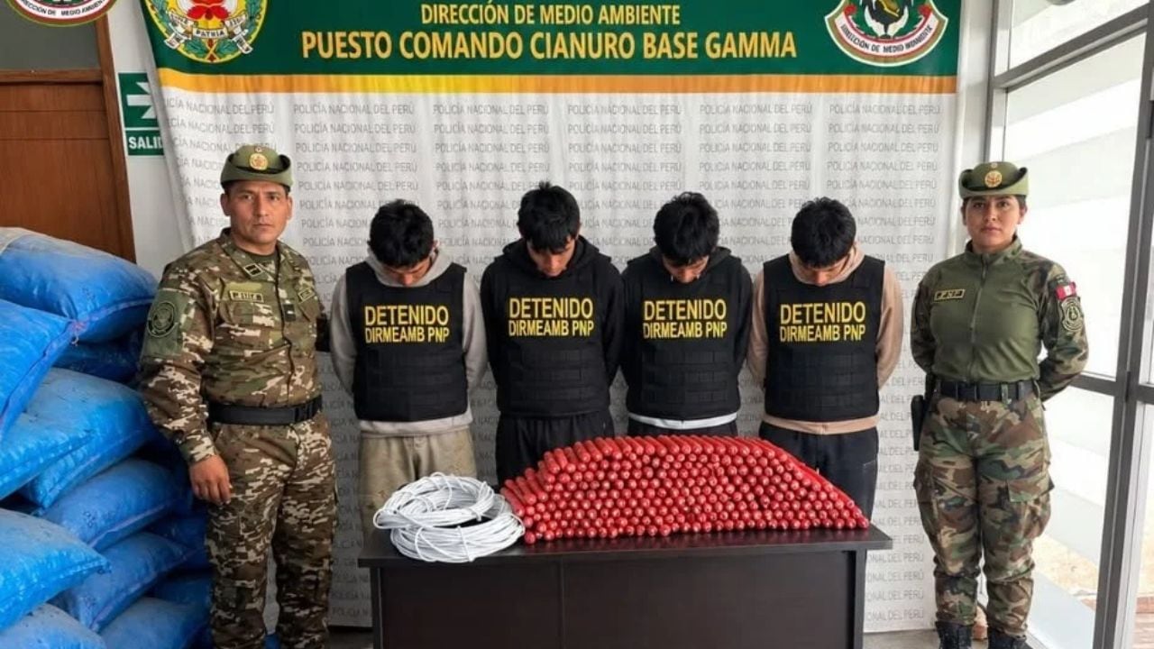 Operativo se ejecutó en el sector Cachpa, en el distrito de Parcoy. La Policía informó que lo incautado asciende a S/ 138,140. (Foto: PNP)
