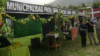 Este es el programa de la XI Feria Agroindustrial de Sánchez Cerro