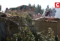 Huancayo: Árbol cae sobre cuatro casas y casi aplasta a familias (FOTOS)