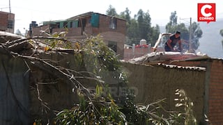 Huancayo: Árbol cae sobre cuatro casas y casi aplasta a familias (FOTOS)