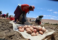 Arequipa registra caída en producción de papa y cobre, pero crece en energía eléctrica durante junio de 2026