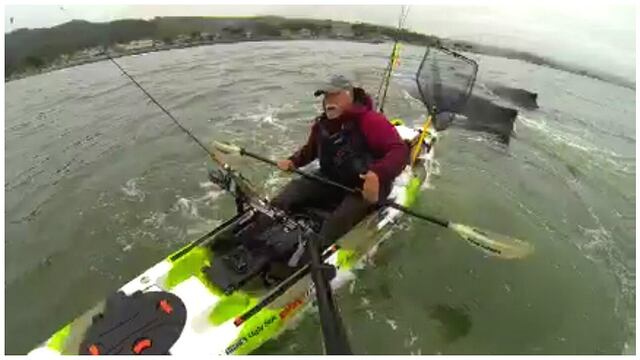 Facebook: Pescador navegaba tranquilo cuando algo casi lo espanta (VIDEO)