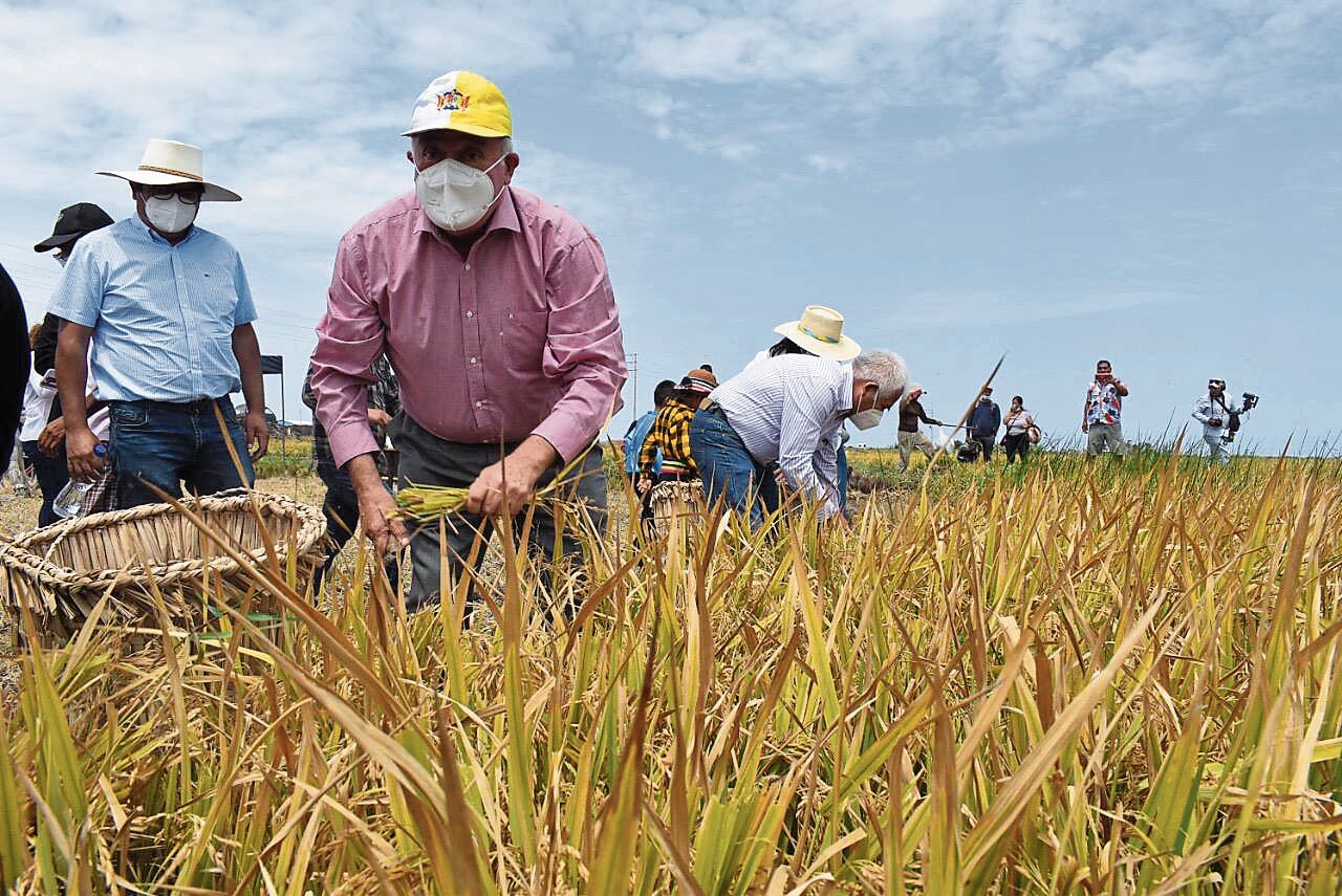 El problema de los agricultores es el recurso hídrico. Foto: cortesía.