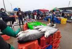 Trujillo: Terminal Pesquero de Víctor Larco se prepara para Semana Santa