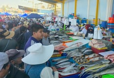 Conozca los precios de pescados y mariscos en el terminal de Río Seco en Arequipa