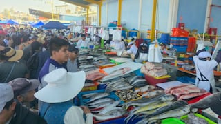 Conozca los precios de pescados y mariscos en el terminal de Río Seco en Arequipa (VIDEO)