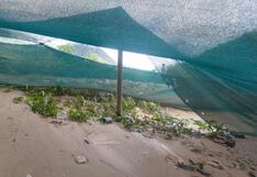 La Libertad: Río se desborda, arrasa con casas y cultivos en la provincia de Bolívar