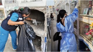 Detectan criaderos de larvas del zancudo del dengue en cementerio de Pisco