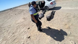 Arequipa: Nueve meses de prisión preventiva a dos investigados por atacar a policías en Majes