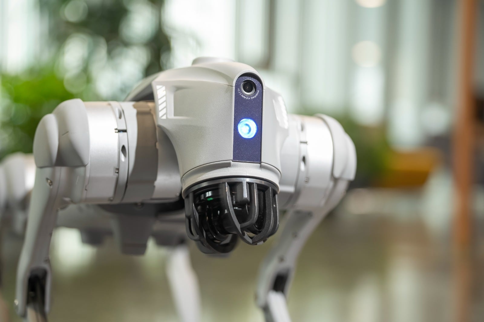 Terremotos: ¿cómo pueden ayudar los perros robots a buscar sobrevivientes?