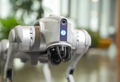 Terremotos: ¿cómo pueden ayudar los perros robots a buscar sobrevivientes?