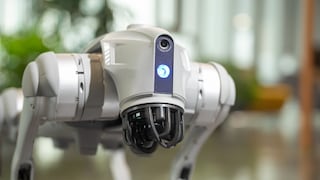 Terremotos: ¿cómo pueden ayudar los perros robots a buscar sobrevivientes?