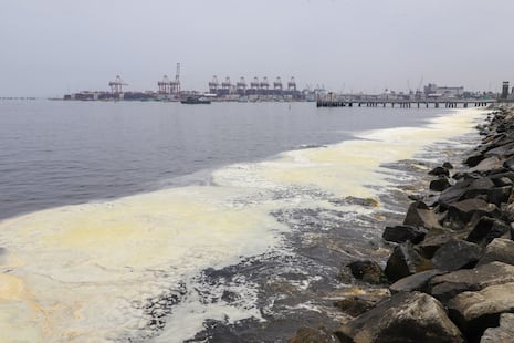 Callao: Floración algal nociva genera extraña espuma en la bahía