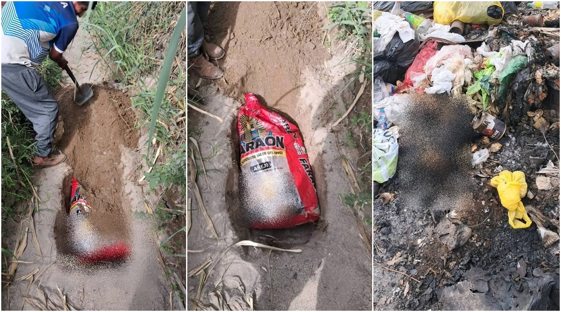 Ica: denuncian envenenamiento de perros y hallazgo de dos animales calcinados en Los Aquijes