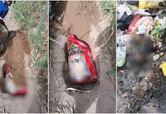 Ica: denuncian envenenamiento de perros y hallazgo de dos animales calcinados en Los Aquijes