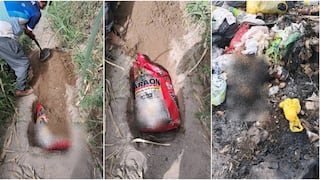 Ica: denuncian envenenamiento de perros y hallazgo de dos animales calcinados en Los Aquijes