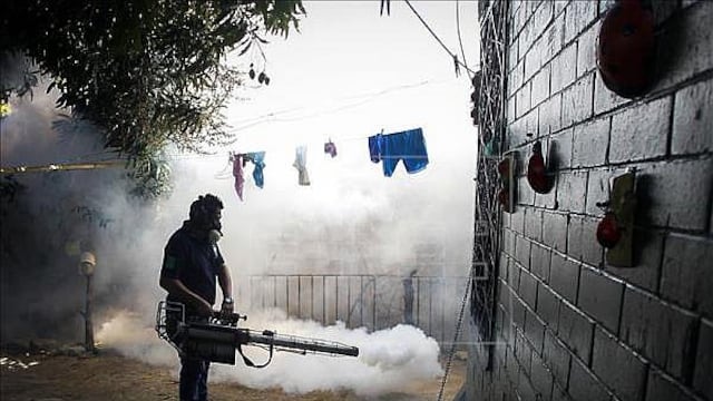 Zika: EEUU destina 15 millones de dólares para lucha contra virus en Latinoamérica