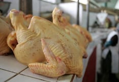 Senasa descartó contagio de influenza aviar por consumo de pollo y huevos