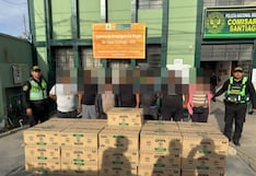 Ica: caen “Los dulces de la Navidad” con decenas de cajas de panetones robados