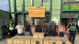Ica: caen “Los dulces de la Navidad” con decenas de cajas de panetones robados