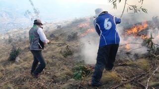 Incendios forestales acechan a Cusco