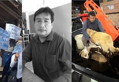 Cusco: Canes que fueron alimentados con restos humanos serán dados en adopción