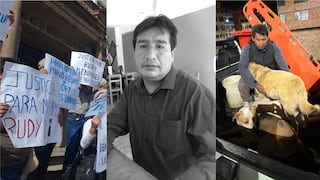 Cusco: Canes que fueron alimentados con restos humanos serán dados en adopción