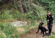 La Policía busca a Anthony Camizán con perros en Piura