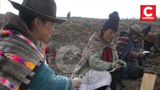 Junín: Más de 200 mil pobladores hablan lenguas indígenas y sufren discriminación 