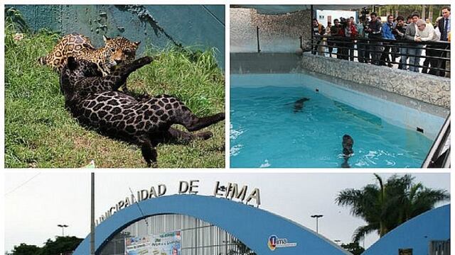 Parque de Las Leyendas: Denuncian que concierto en zoológico afectaría a animales